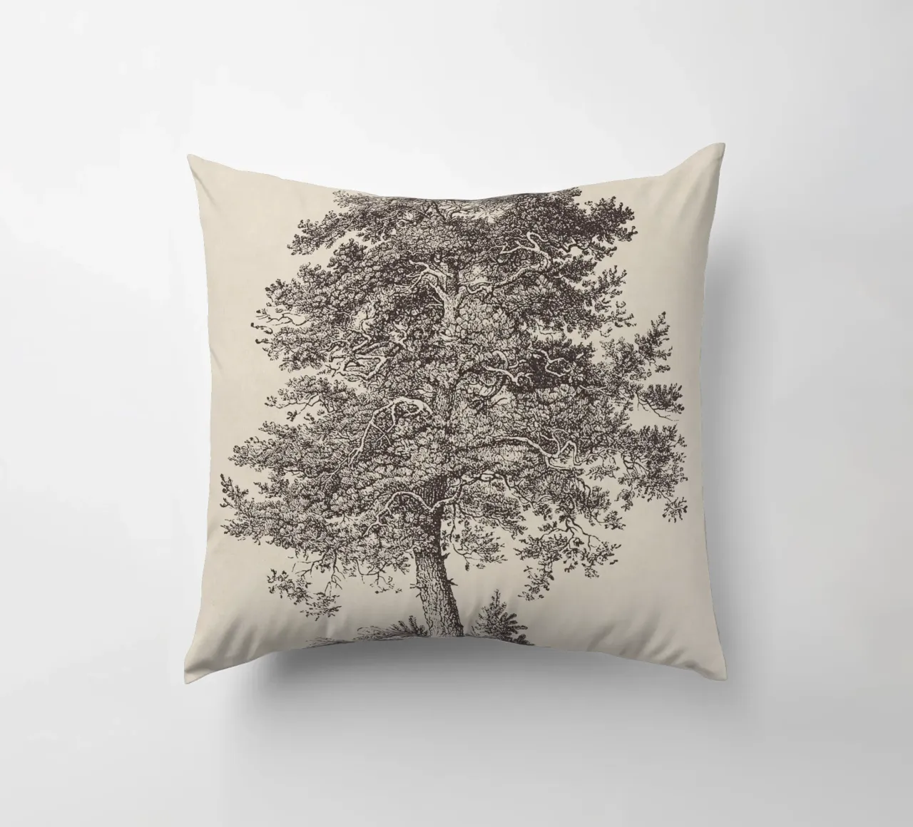 Tree Sketch - Scotch Pine cojín de apoloprints