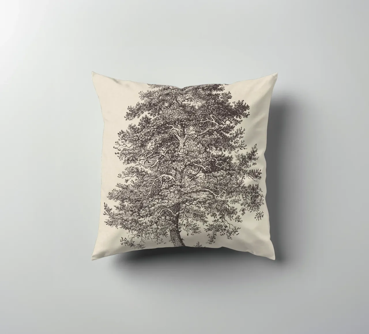 Tree Sketch - Scotch Pine cuscino da apoloprints
