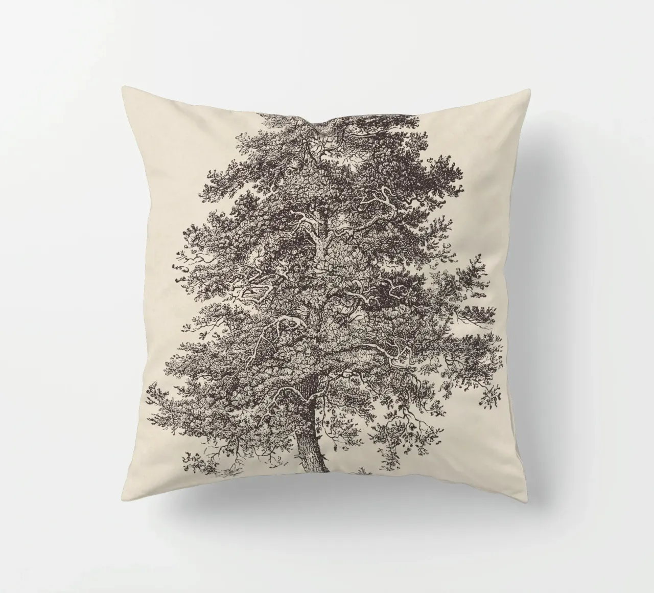Tree Sketch - Scotch Pine cuscino da apoloprints