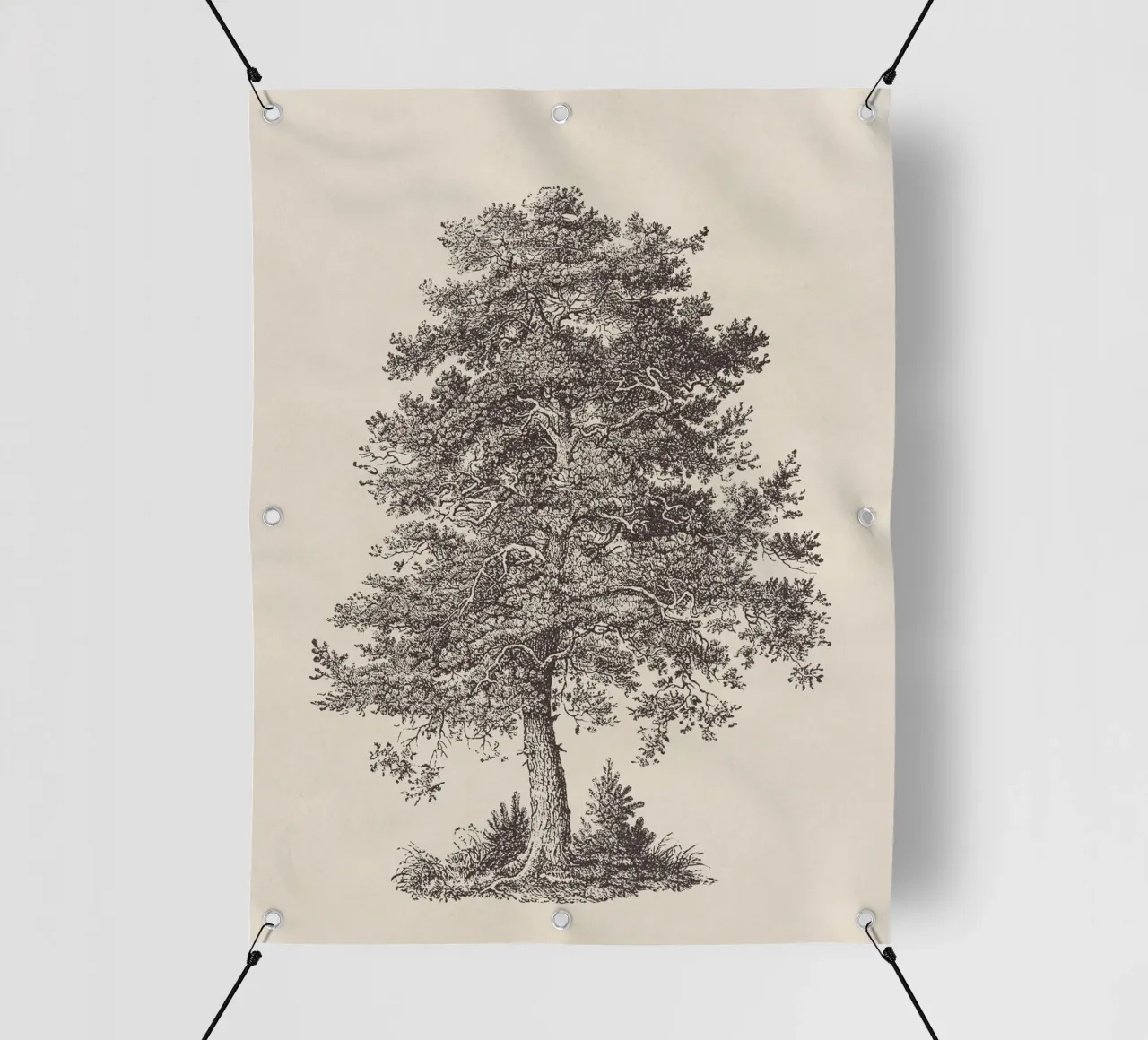 Tree Sketch - Scotch Pine lonas publicitarias de apoloprints