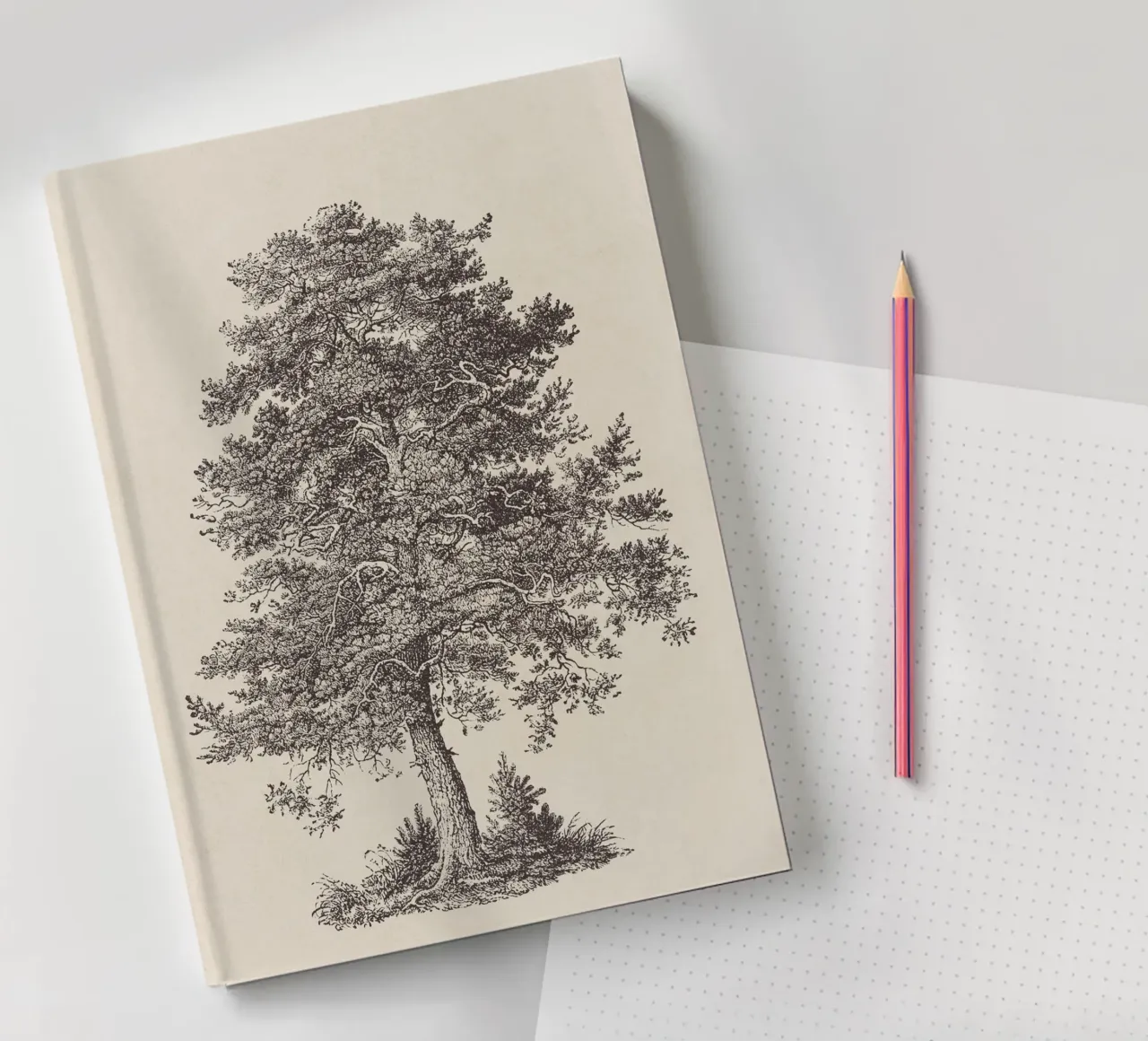 Tree Sketch - Scotch Pine notebook by apoloprints