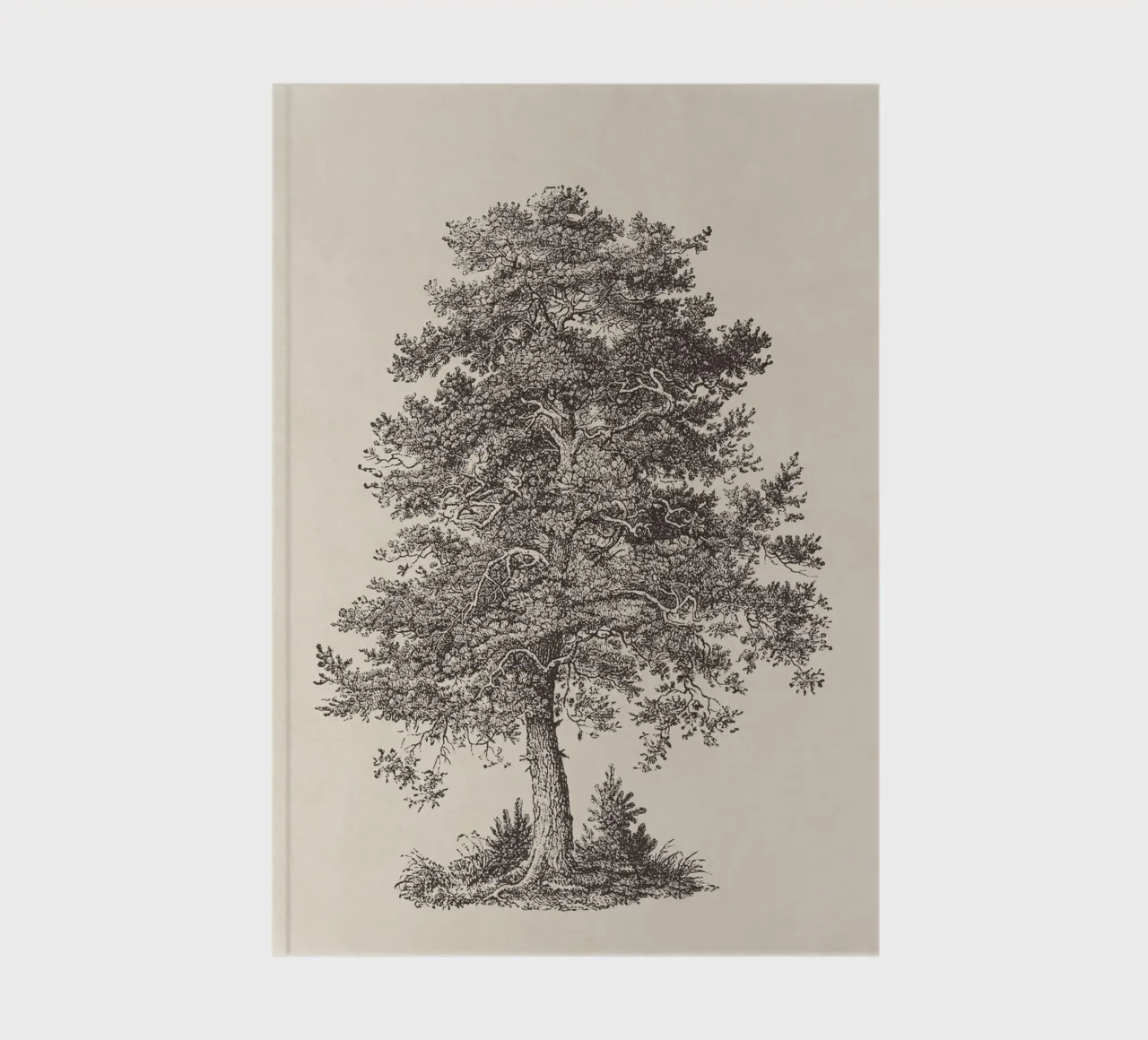 Tree Sketch - Scotch Pine notebook by apoloprints