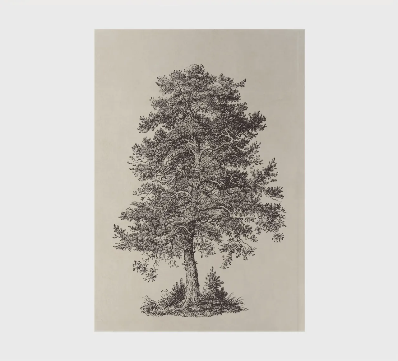 Tree Sketch - Scotch Pine notebook by apoloprints