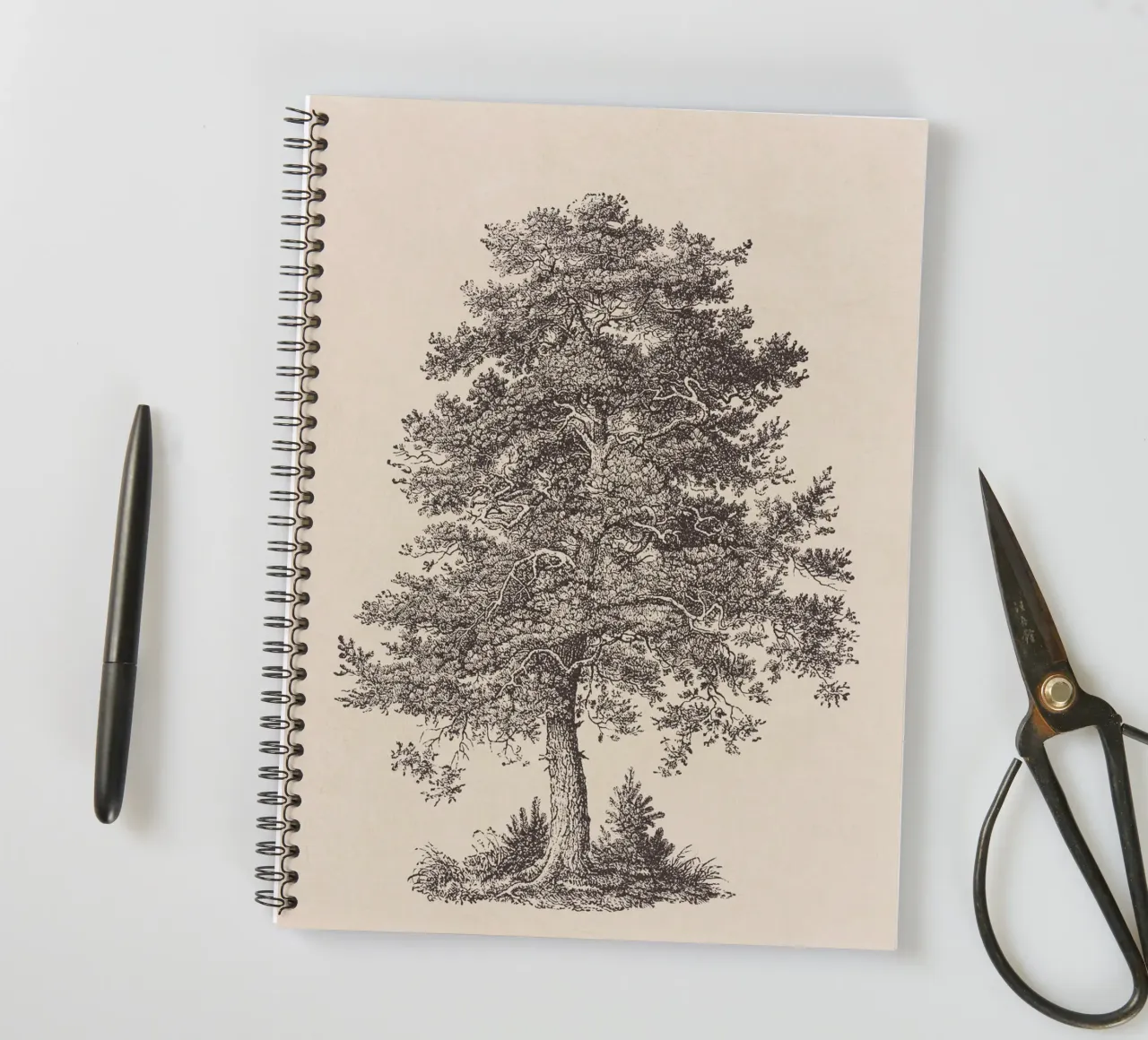 Tree Sketch - Scotch Pine diario ad anelli da apoloprints