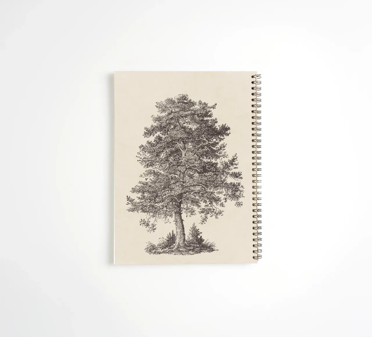 Tree Sketch - Scotch Pine diario ad anelli da apoloprints