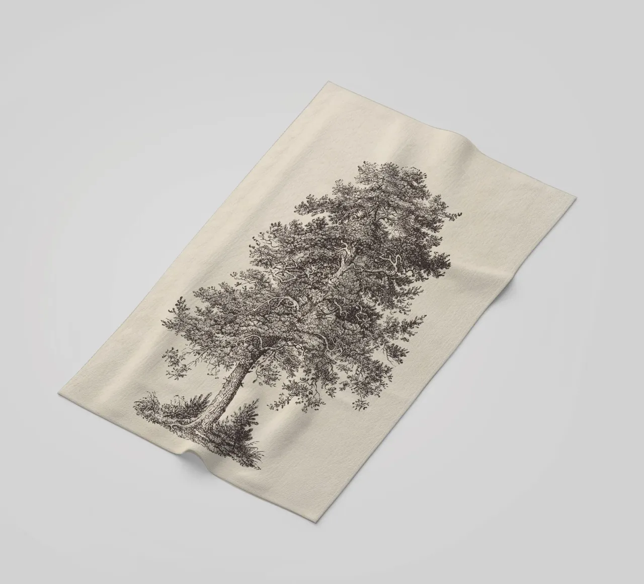 Tree Sketch - Scotch Pine telo mare da apoloprints