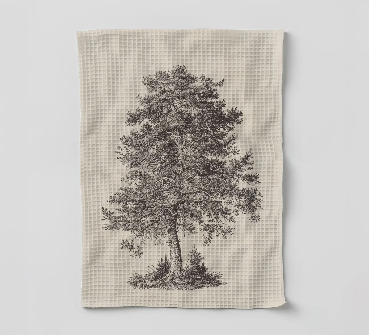 Tree Sketch - Scotch Pine canovaccio da cucina da apoloprints