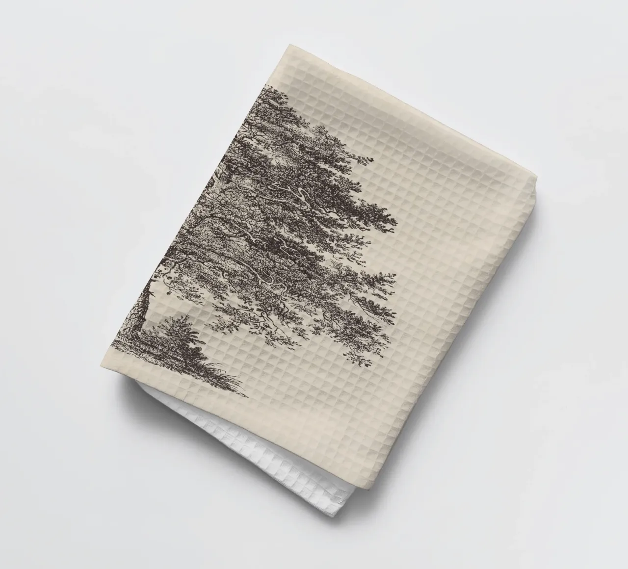 Tree Sketch - Scotch Pine canovaccio da cucina da apoloprints