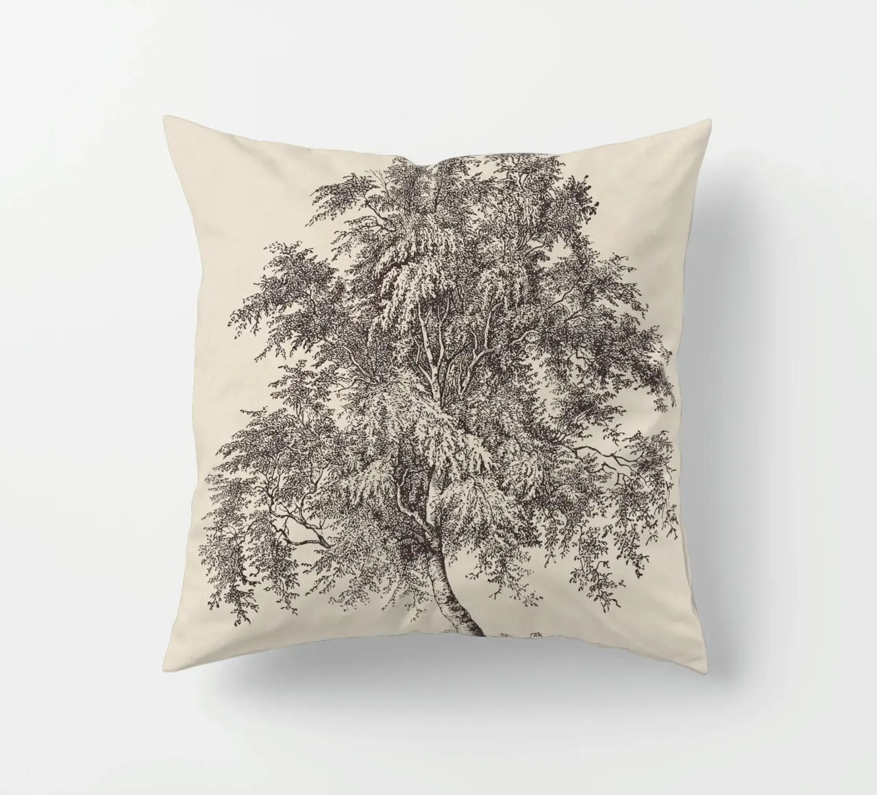 Tree Sketch - Silver Birch cuscino da apoloprints