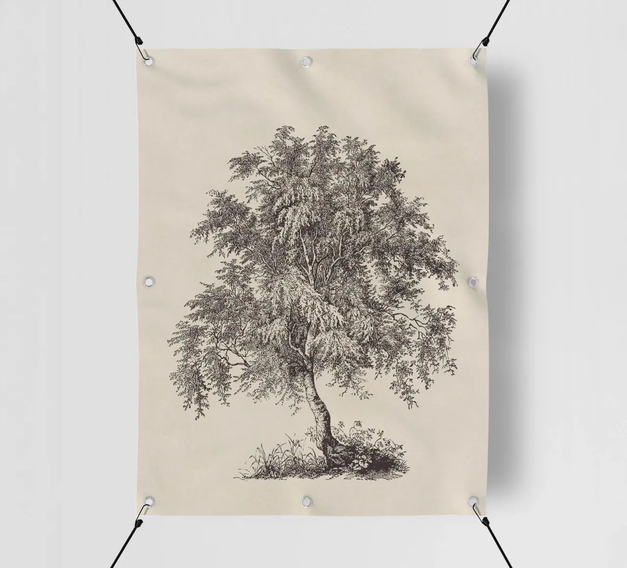 Tree Sketch - Silver Birch telo in pvc da apoloprints