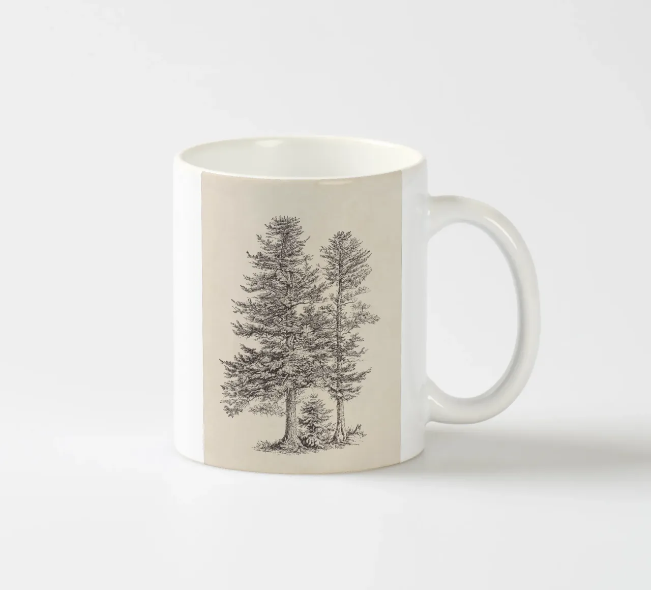 Tree Sketch - Silver Fir taza de cerámica de apoloprints