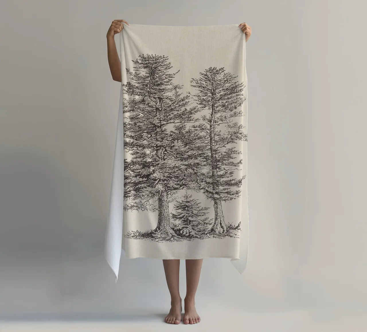 Tree Sketch - Silver Fir telo mare da apoloprints