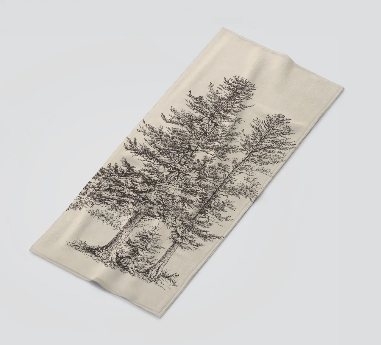 Tree Sketch - Silver Fir telo mare da apoloprints