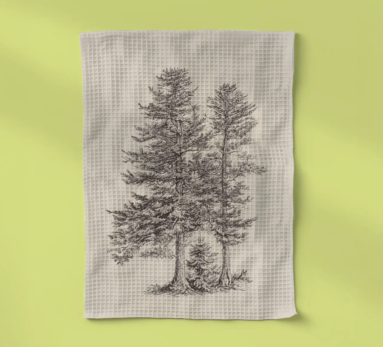 Tree Sketch - Silver Fir torchon de apoloprints