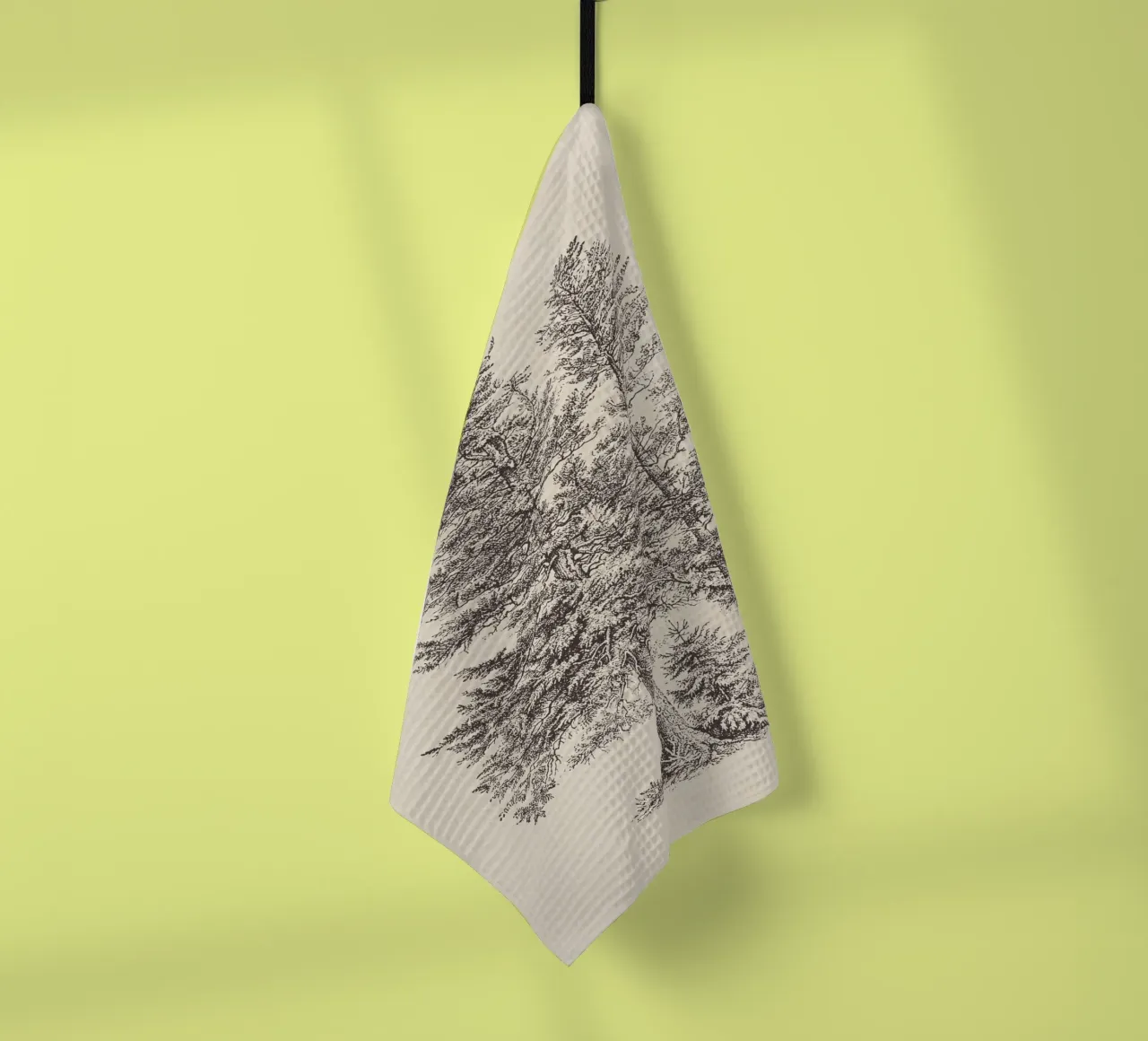 Tree Sketch - Silver Fir torchon de apoloprints