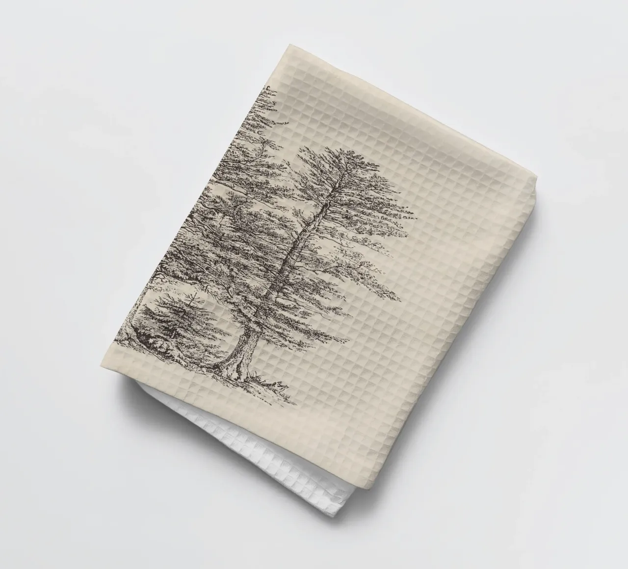Tree Sketch - Silver Fir torchon de apoloprints