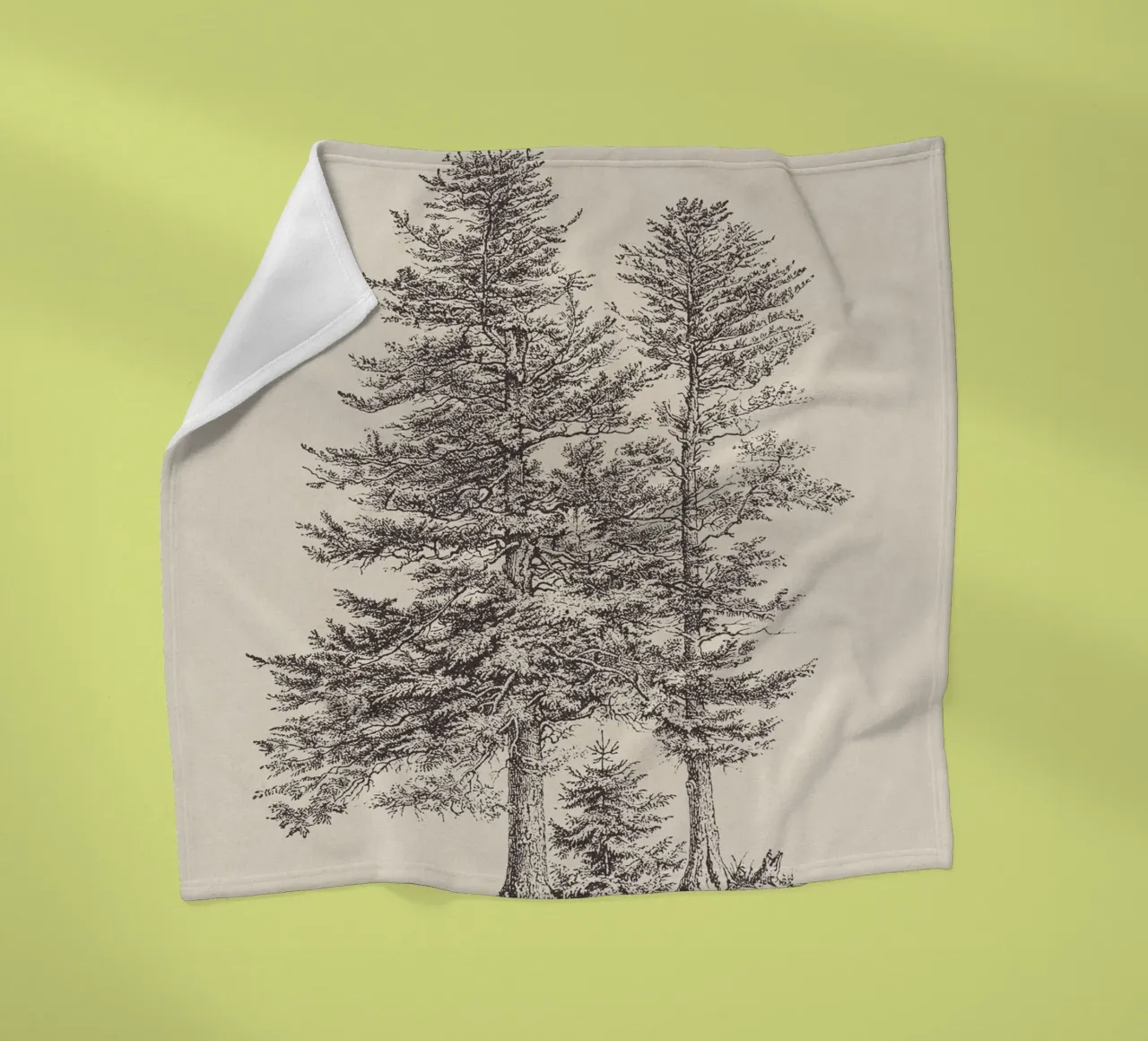 Tree Sketch - Silver Fir coperta in pile da apoloprints