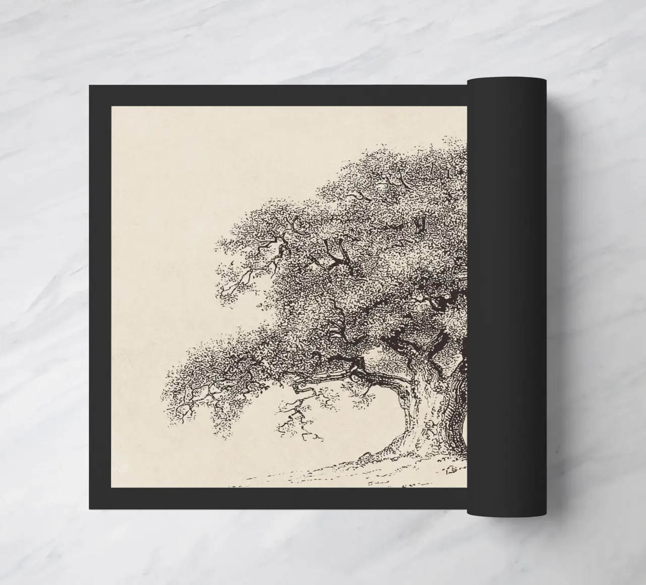 Tree Sketch - Spring Oak zerbino da apoloprints