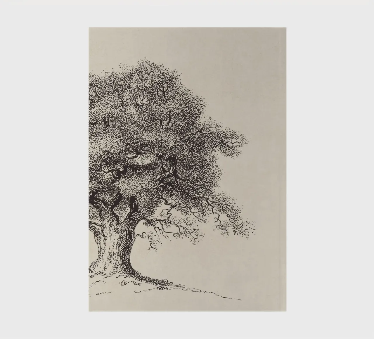 Tree Sketch - Spring Oak notebook by apoloprints