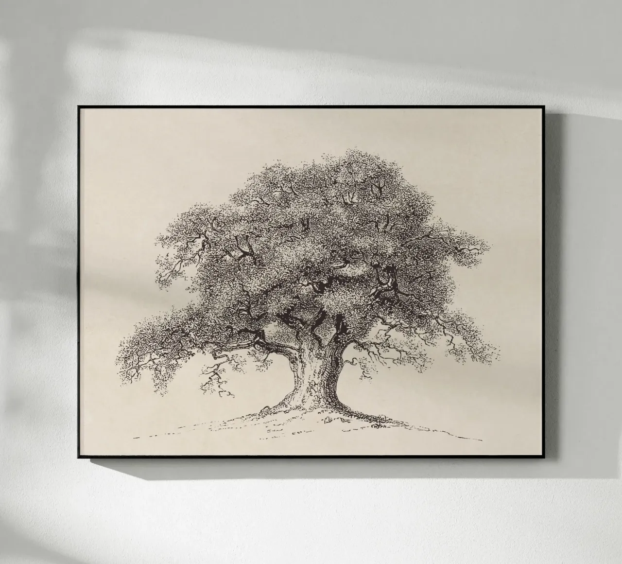 Tree Sketch - Spring Oak plexiglass da apoloprints
