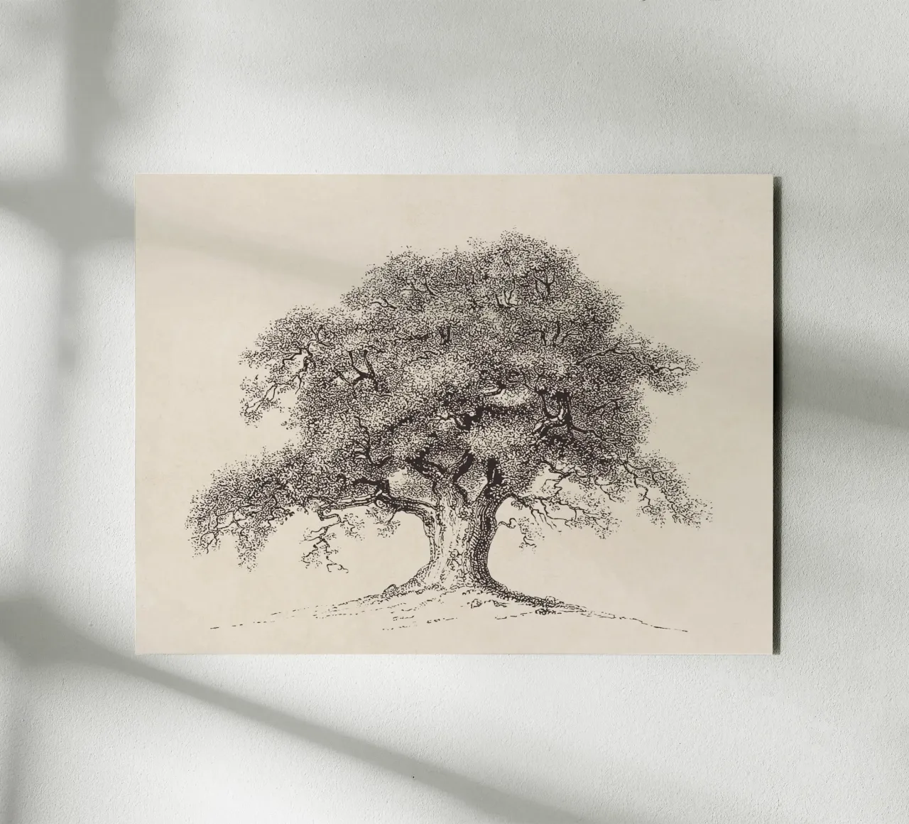 Tree Sketch - Spring Oak alluminio dibond da apoloprints
