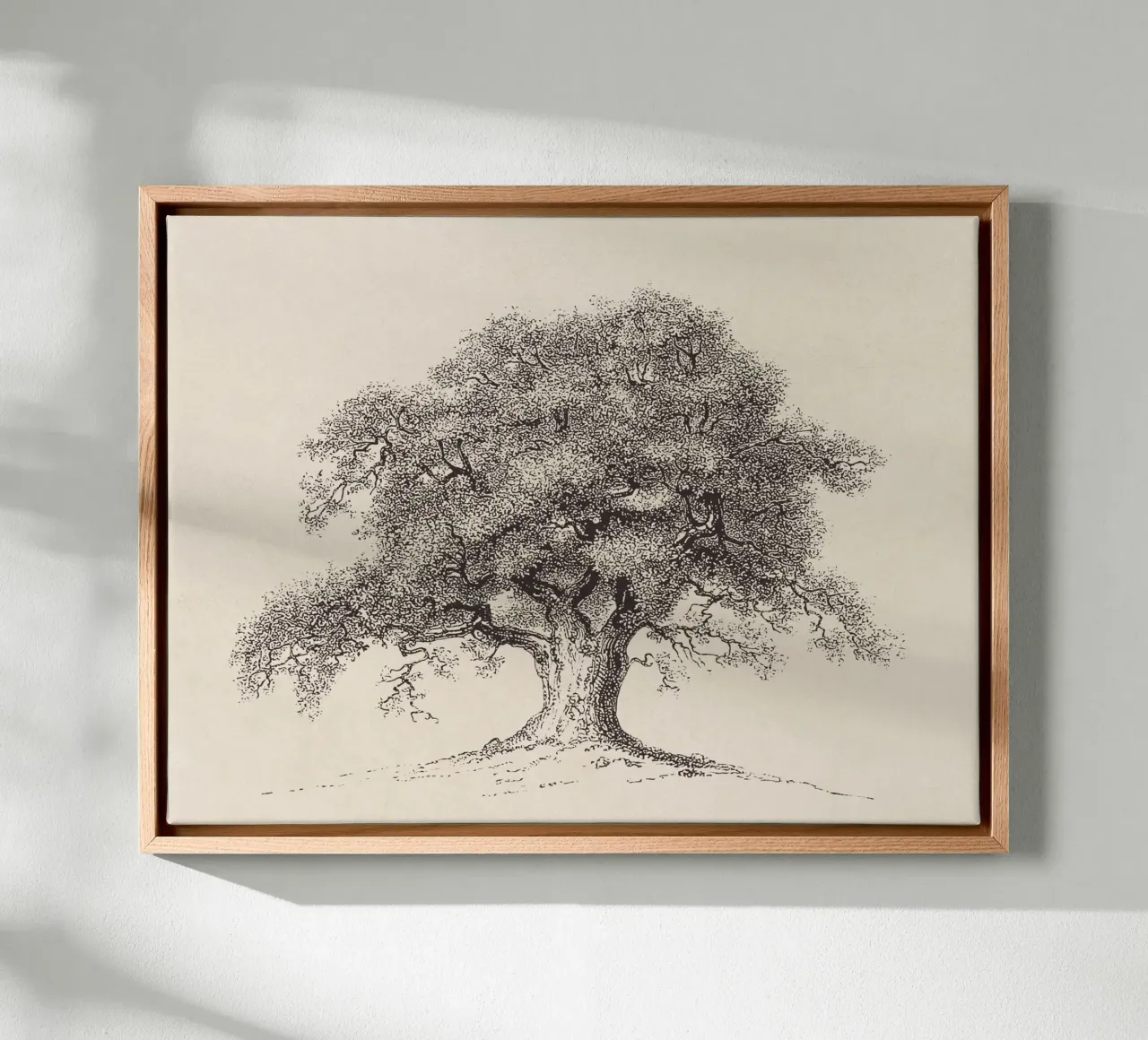 Tree Sketch - Spring Oak tela da apoloprints