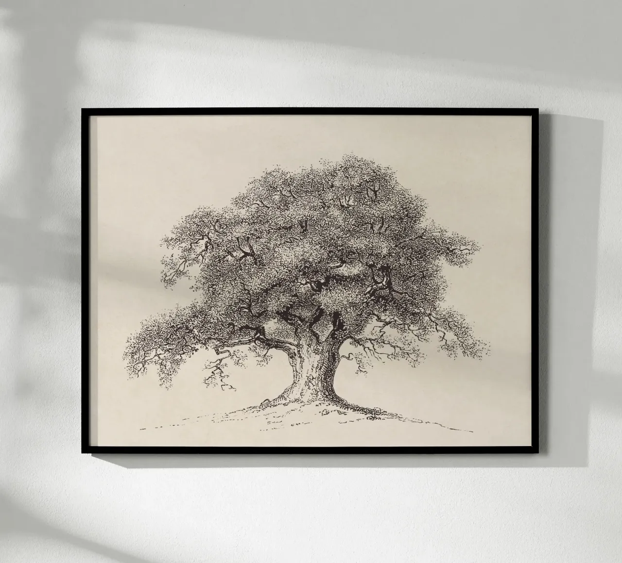 Tree Sketch - Spring Oak carta hahnemühle da apoloprints