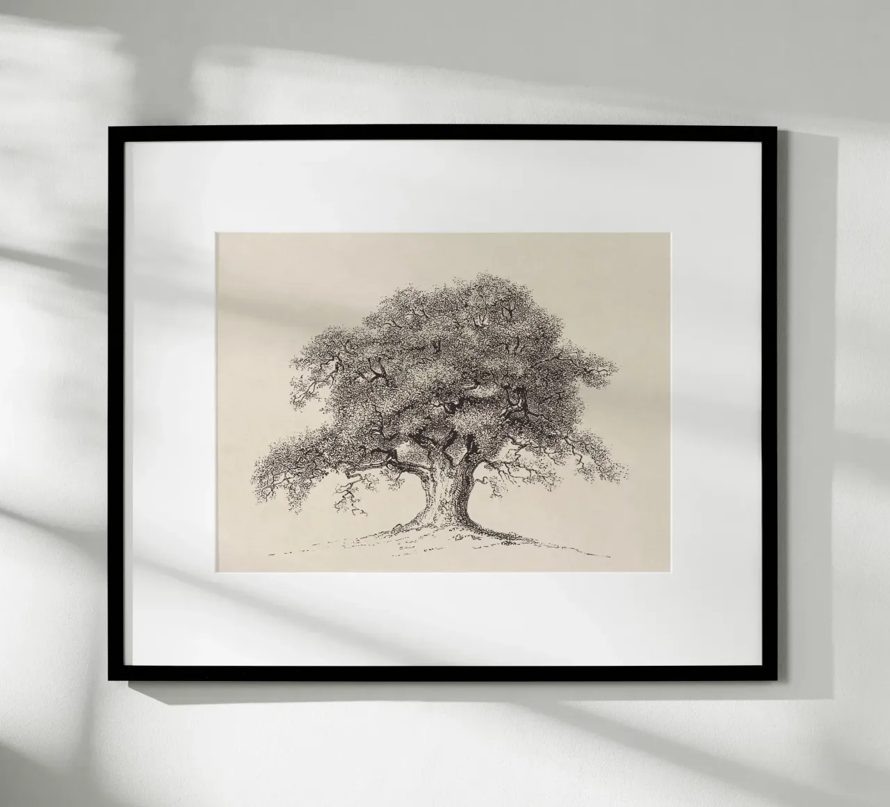 Tree Sketch - Spring Oak carta hahnemühle da apoloprints