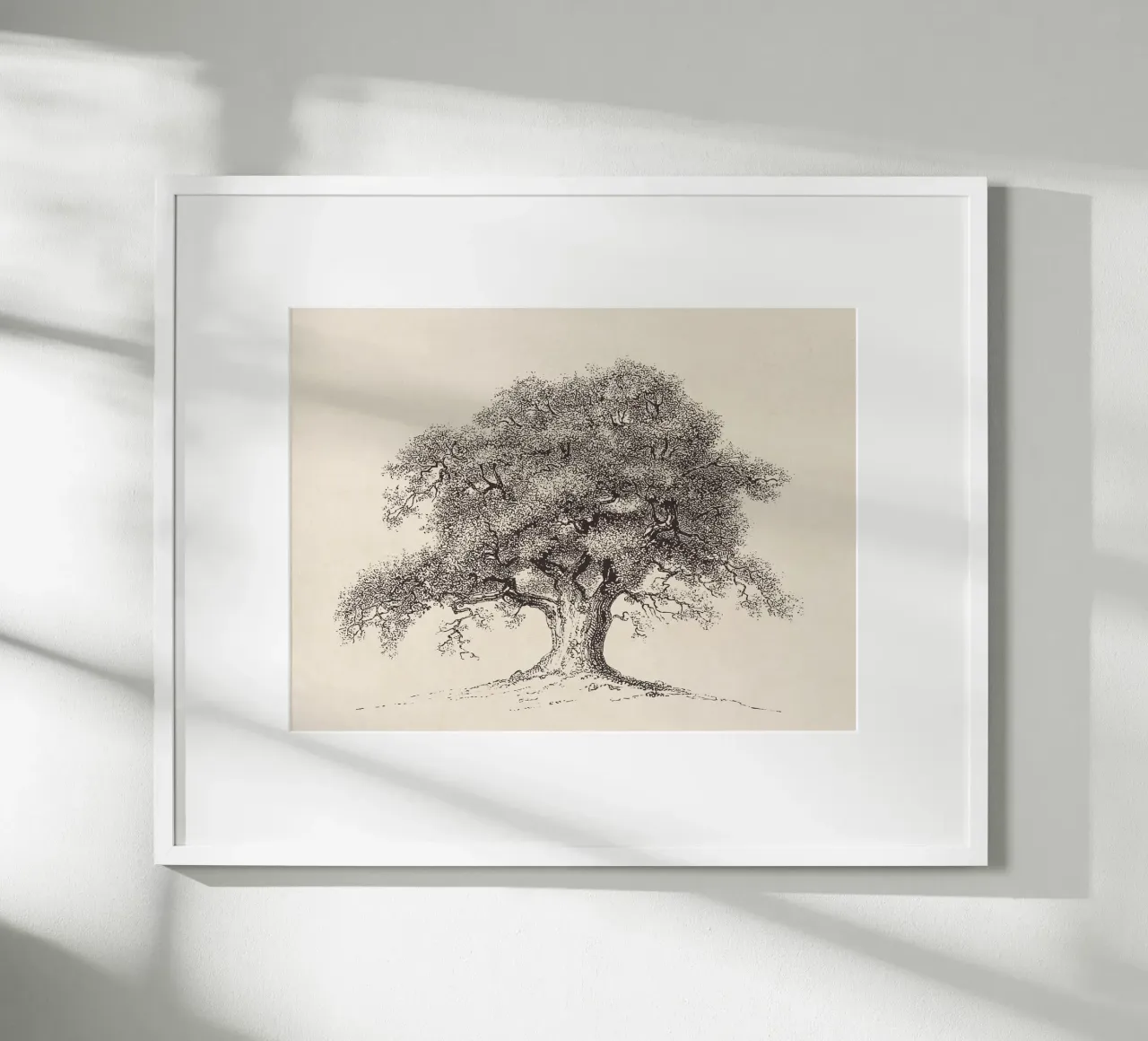 Tree Sketch - Spring Oak carta hahnemühle da apoloprints