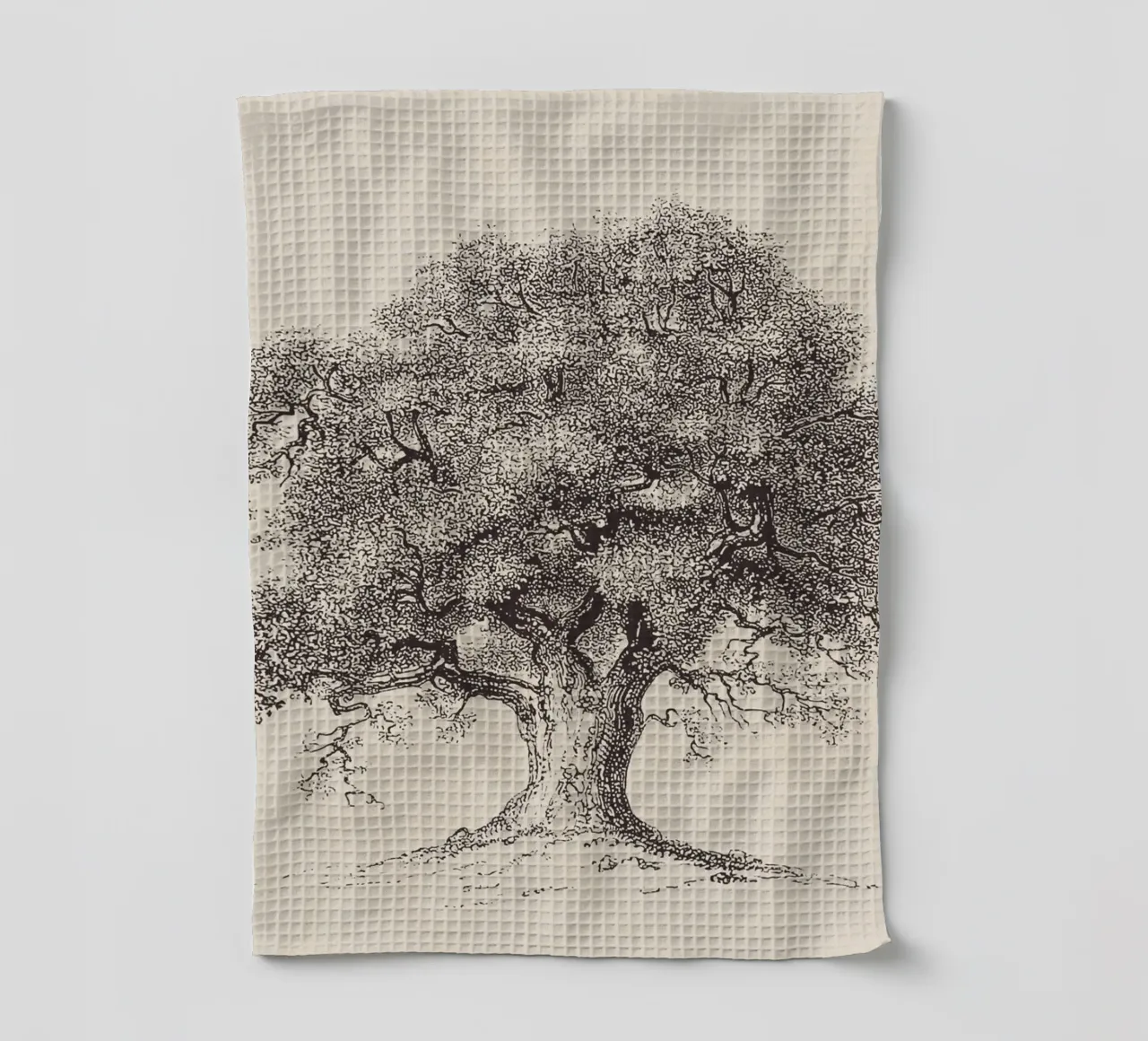 Tree Sketch - Spring Oak canovaccio da cucina da apoloprints