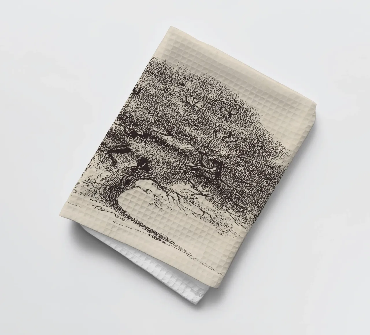 Tree Sketch - Spring Oak canovaccio da cucina da apoloprints