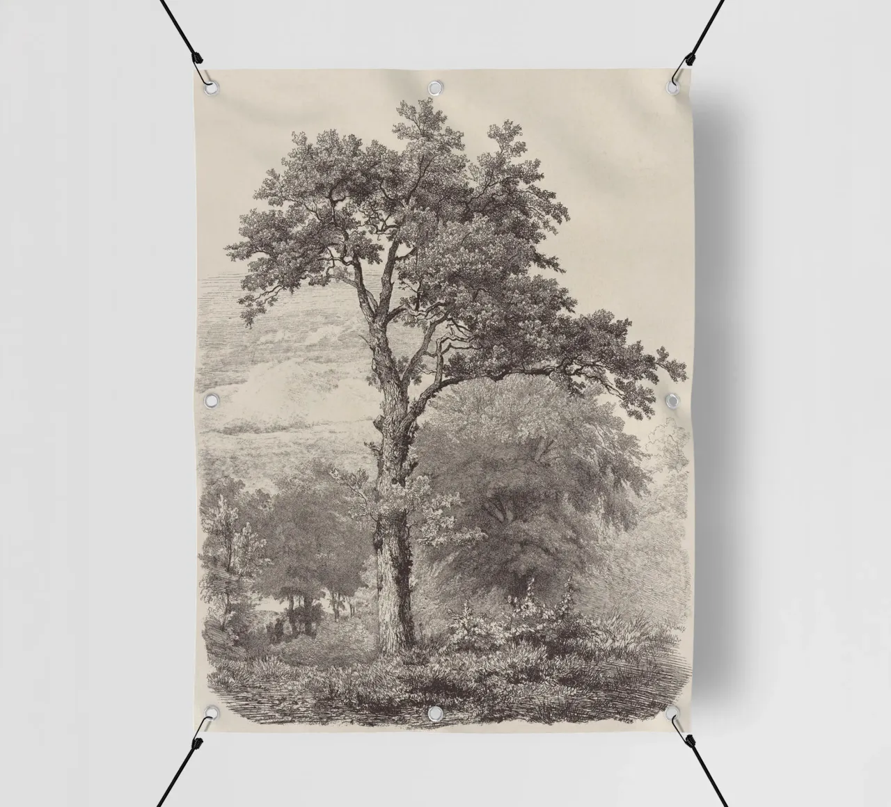 Tree Sketch - Landscape no. 23 telo in pvc da apoloprints