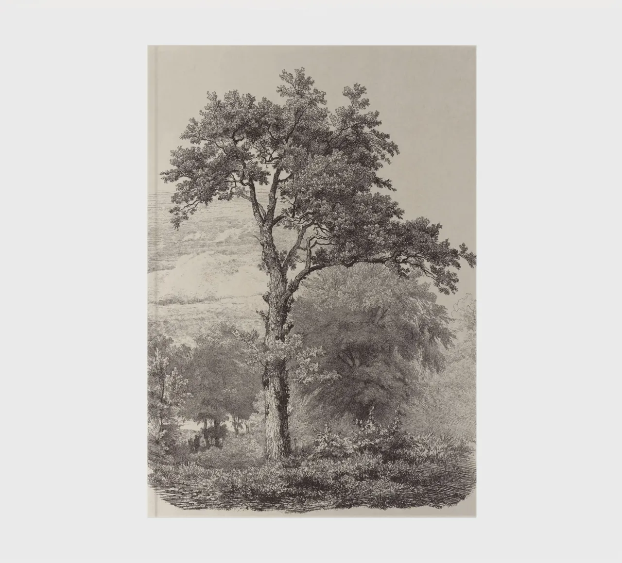 Tree Sketch - Landscape no. 23 notebook by apoloprints