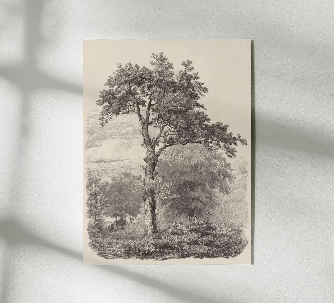 Tree Sketch - Landscape no. 23 plexiglass da apoloprints