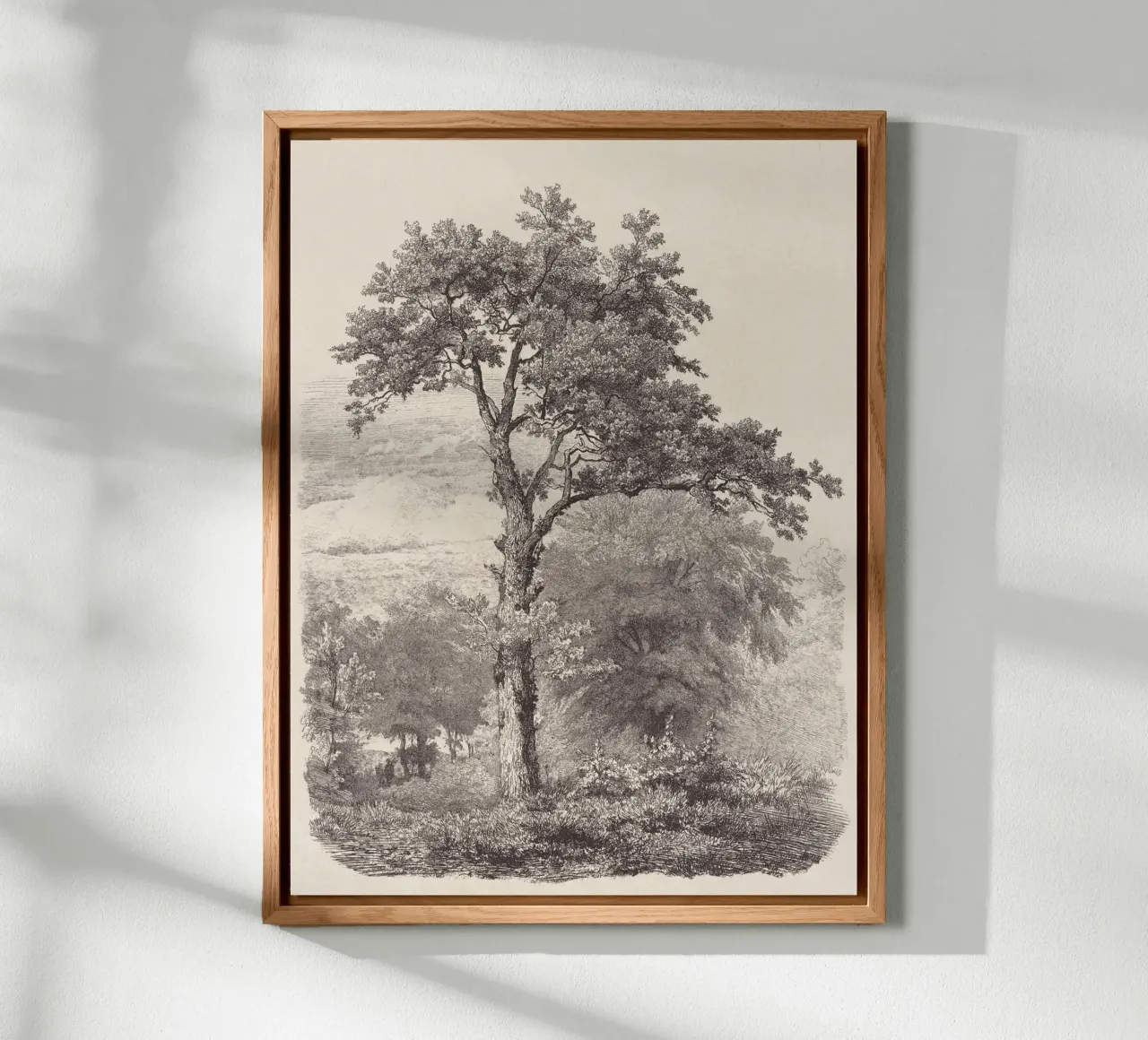 Tree Sketch - Landscape no. 23 alluminio dibond da apoloprints