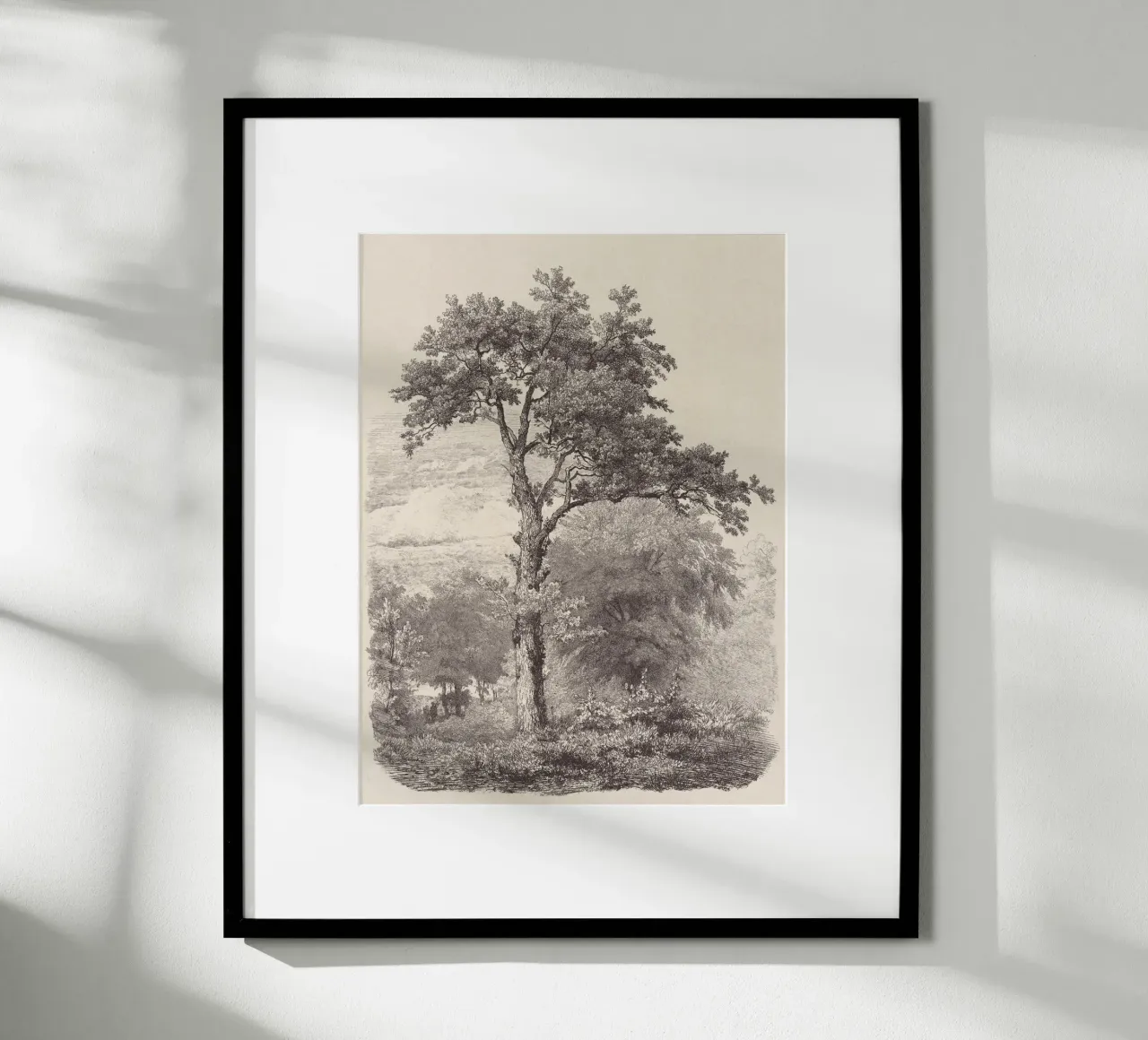 Tree Sketch - Landscape no. 23 carta hahnemühle da apoloprints