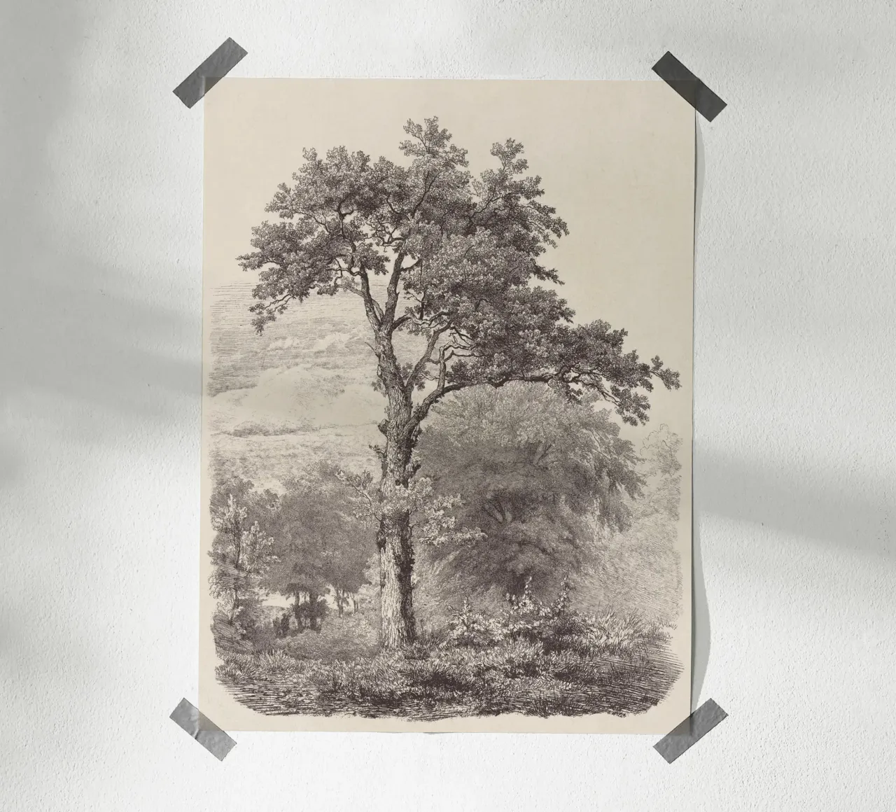 Tree Sketch - Landscape no. 23 carta hahnemühle da apoloprints