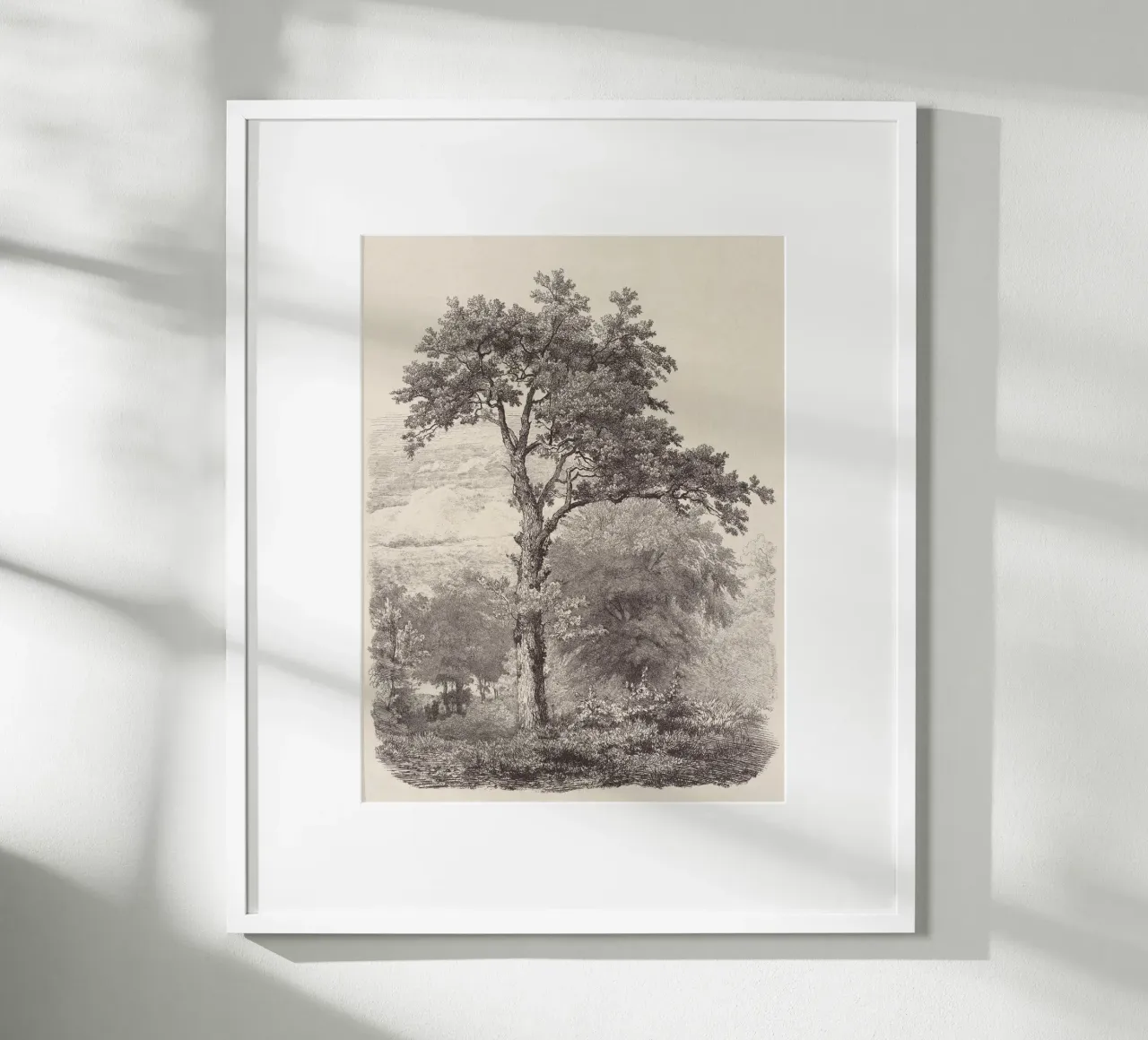 Tree Sketch - Landscape no. 23 carta hahnemühle da apoloprints