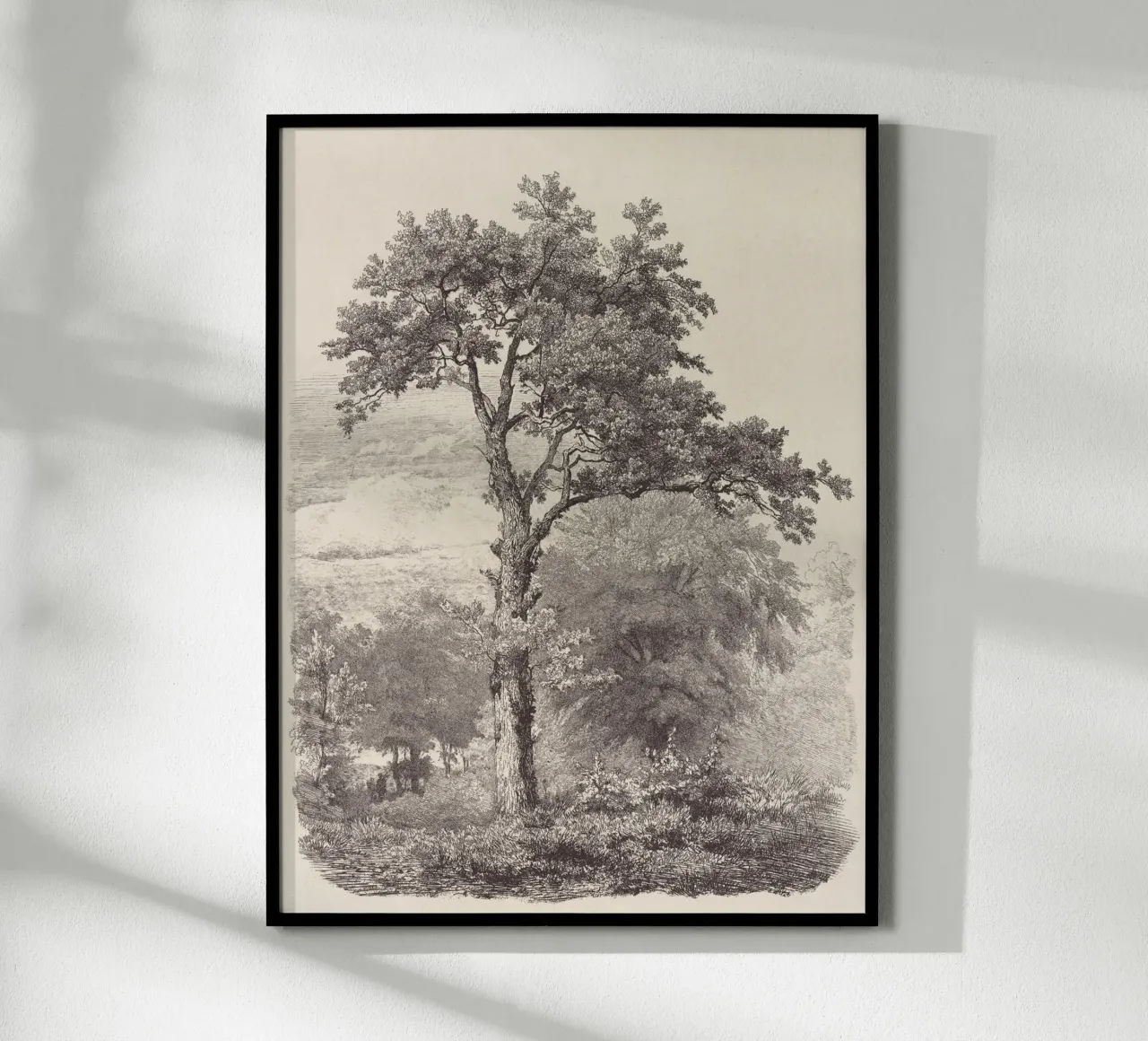 Tree Sketch - Landscape no. 23 carta hahnemühle da apoloprints