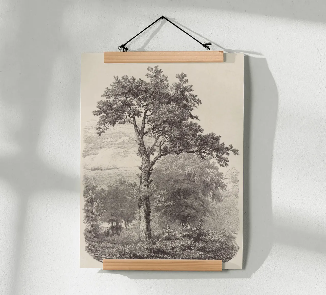 Tree Sketch - Landscape no. 23 carta hahnemühle da apoloprints