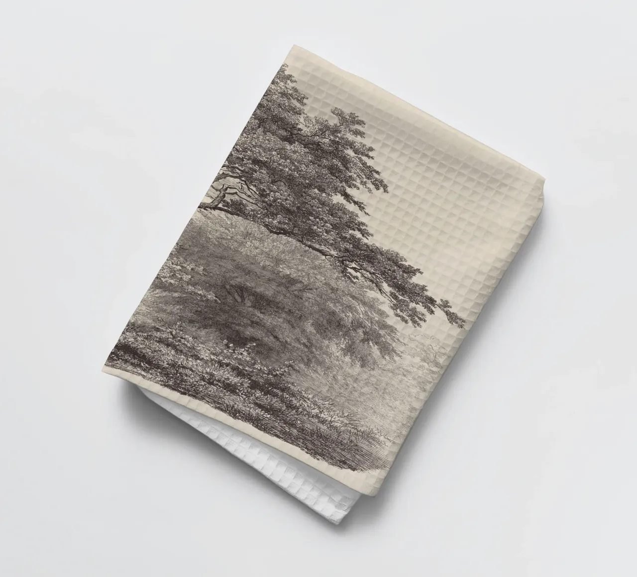 Tree Sketch - Landscape no. 23 canovaccio da cucina da apoloprints