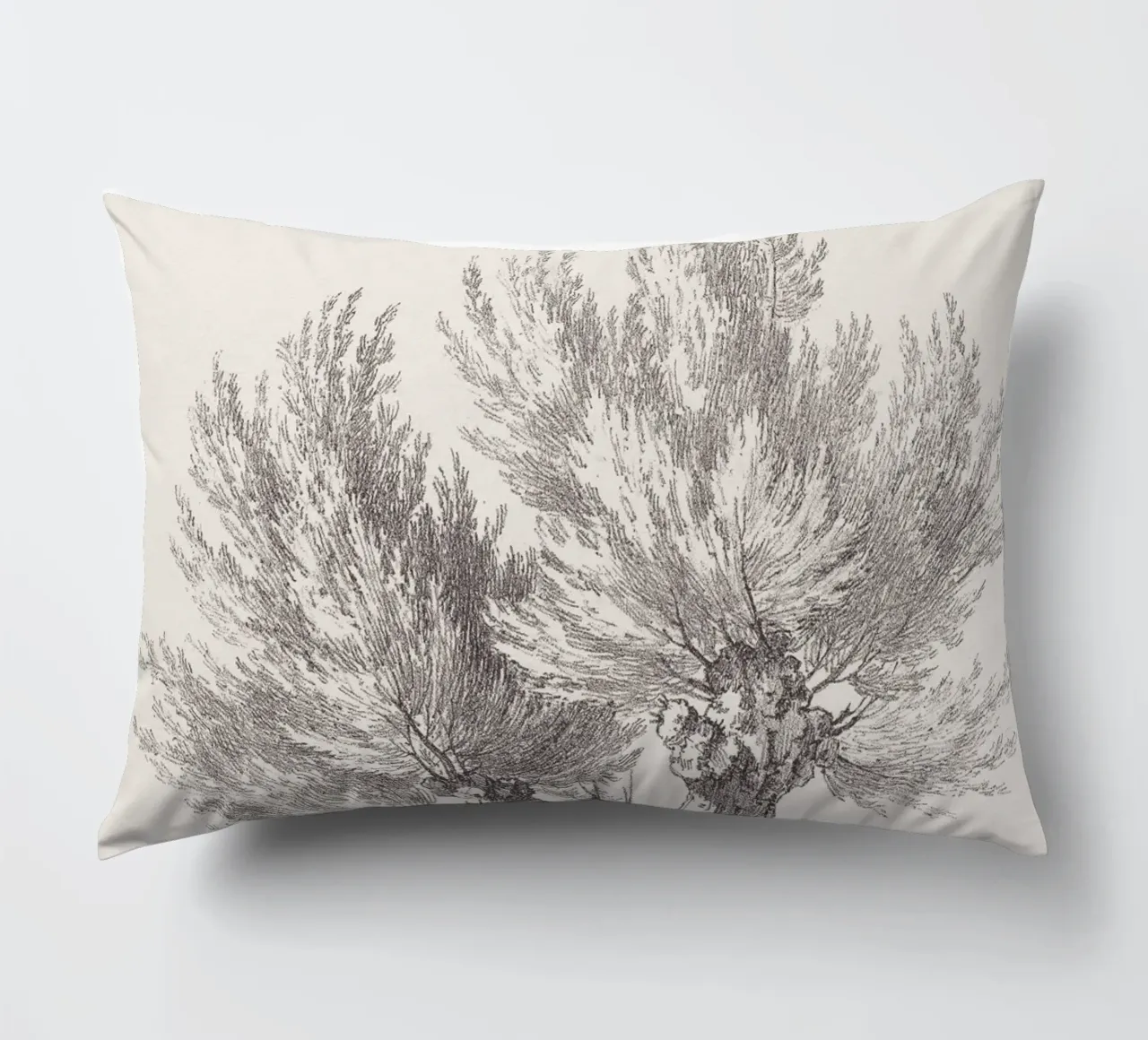 Tree Sketch - Willow no. 2 cuscino da apoloprints