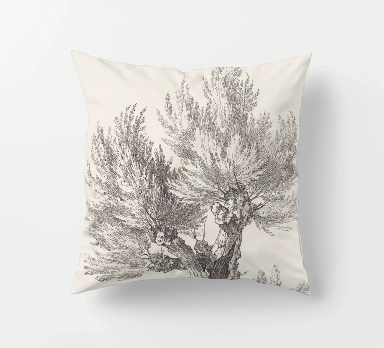 Tree Sketch - Willow no. 2 cuscino da apoloprints