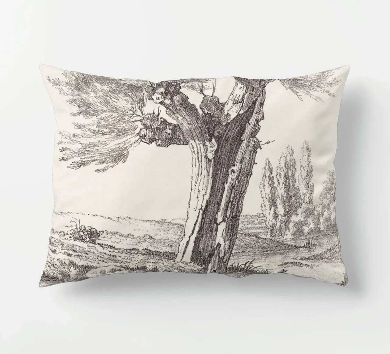Tree Sketch - Willow no. 2 cuscino da apoloprints