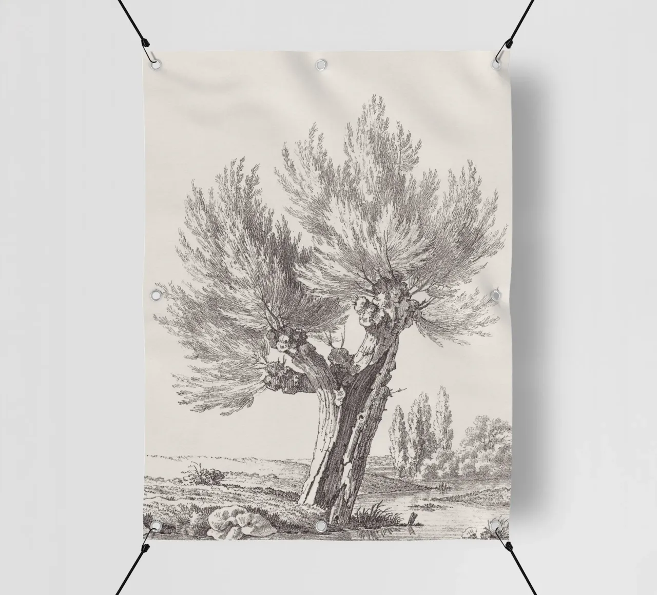 Tree Sketch - Willow no. 2 telo in pvc da apoloprints