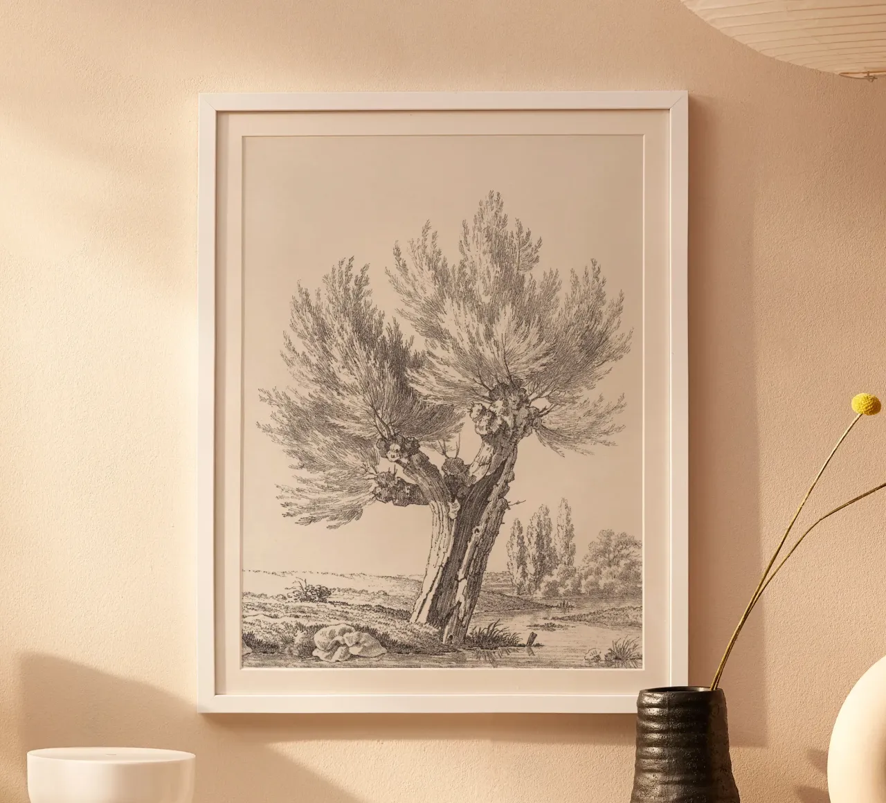 Tree Sketch - Willow no. 2 carta hahnemühle da apoloprints