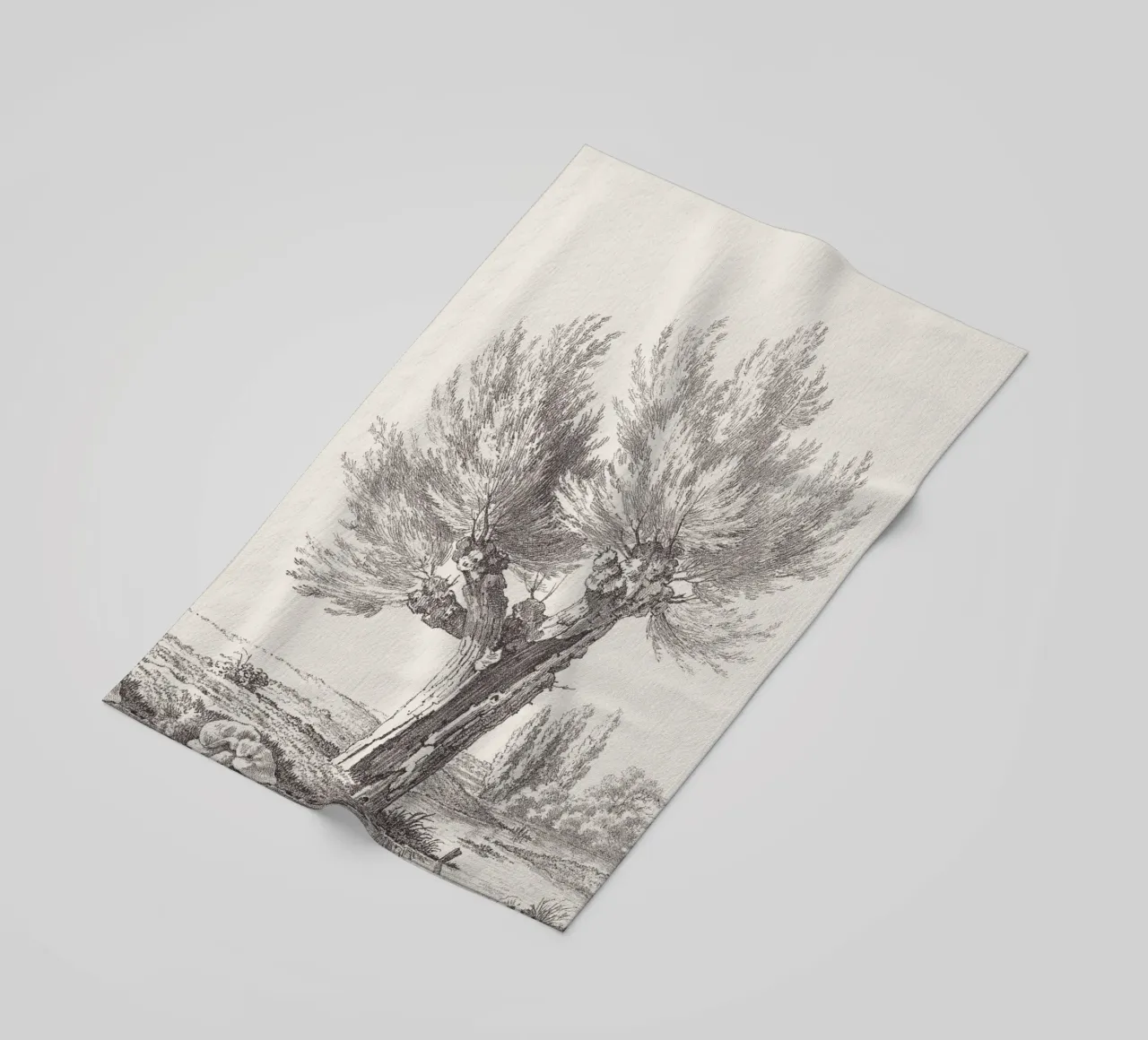 Tree Sketch - Willow no. 2 telo mare da apoloprints