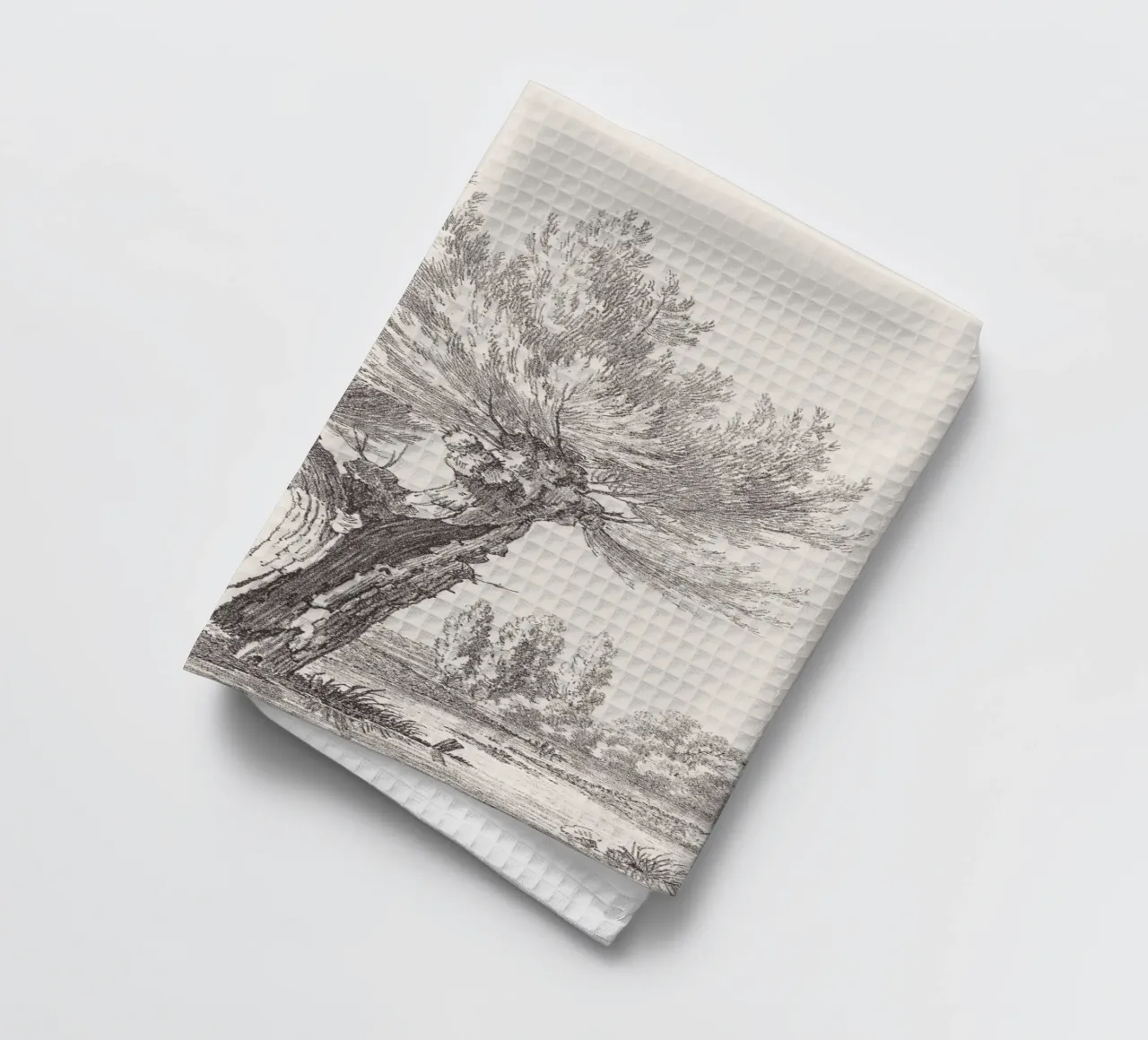 Tree Sketch - Willow no. 2 torchon de apoloprints