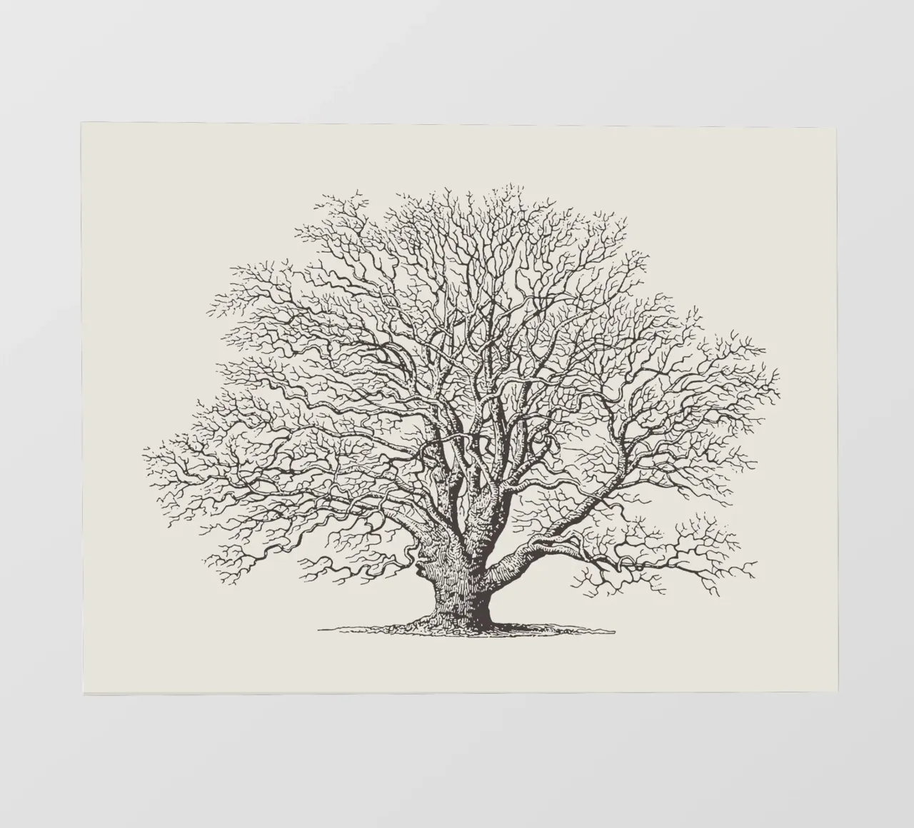 Winter Eik Schets fotobehang van Apolo Prints