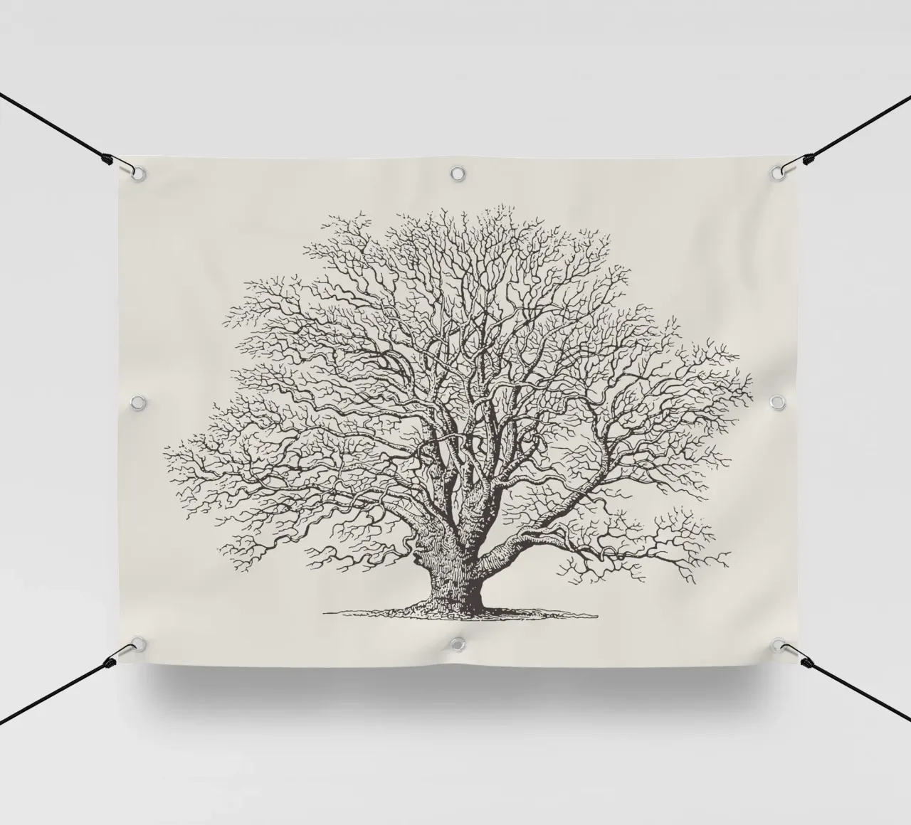 Tree Sketch - Winter Oak telo in pvc da apoloprints